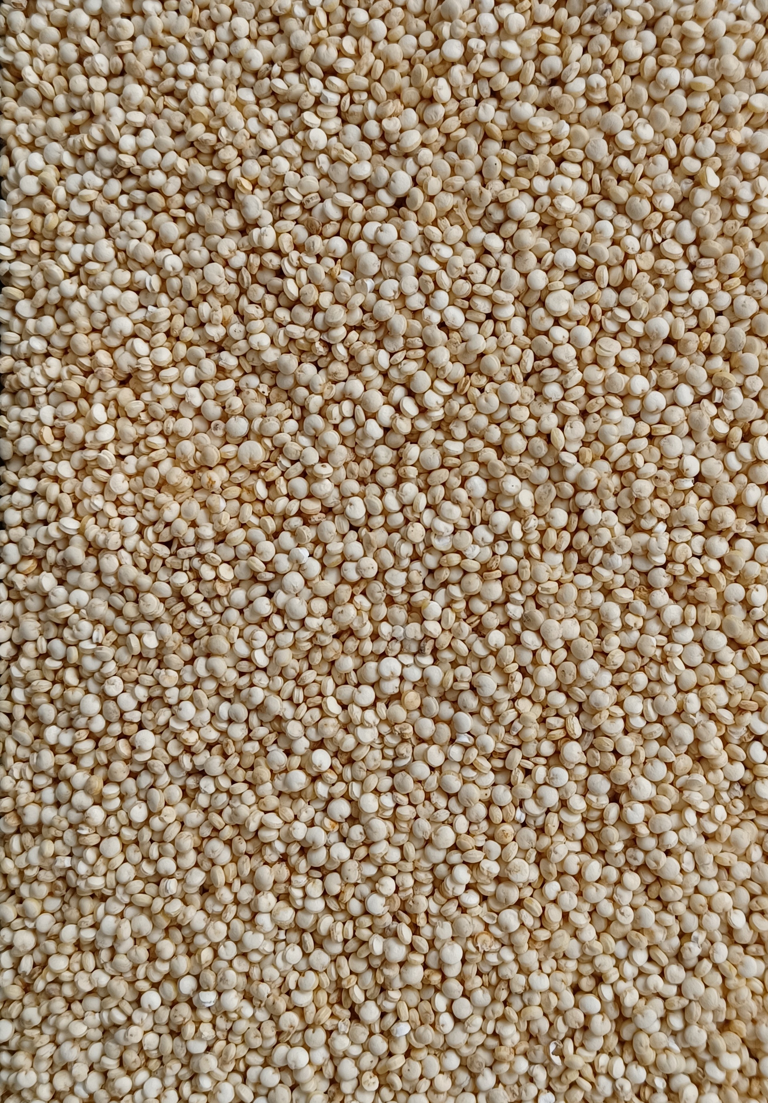 Quinoa (price per 100g)