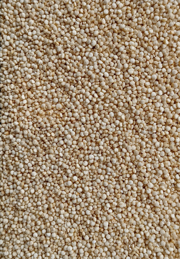 Quinoa (price per 100g)