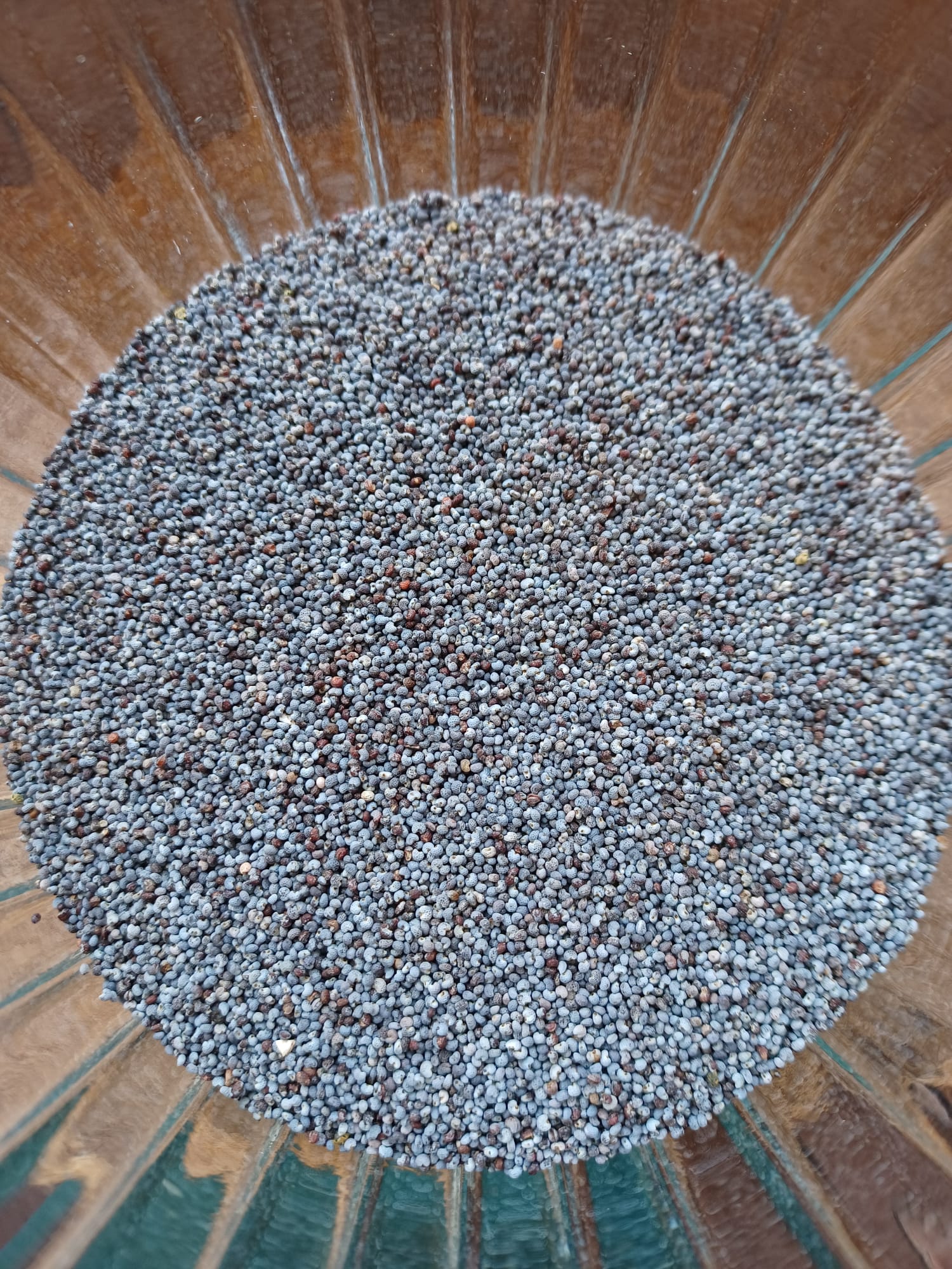 Poppy Seeds (price per 100g)