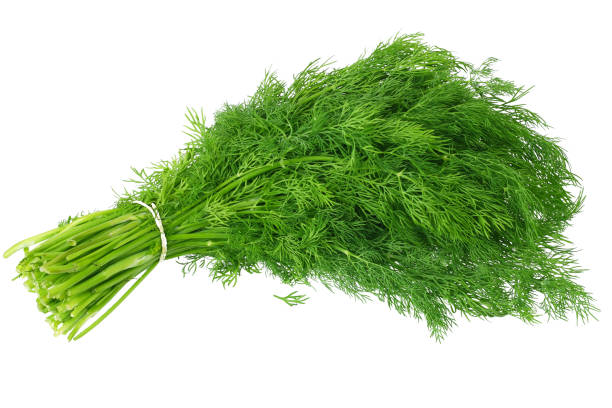Dill (price per 10g)