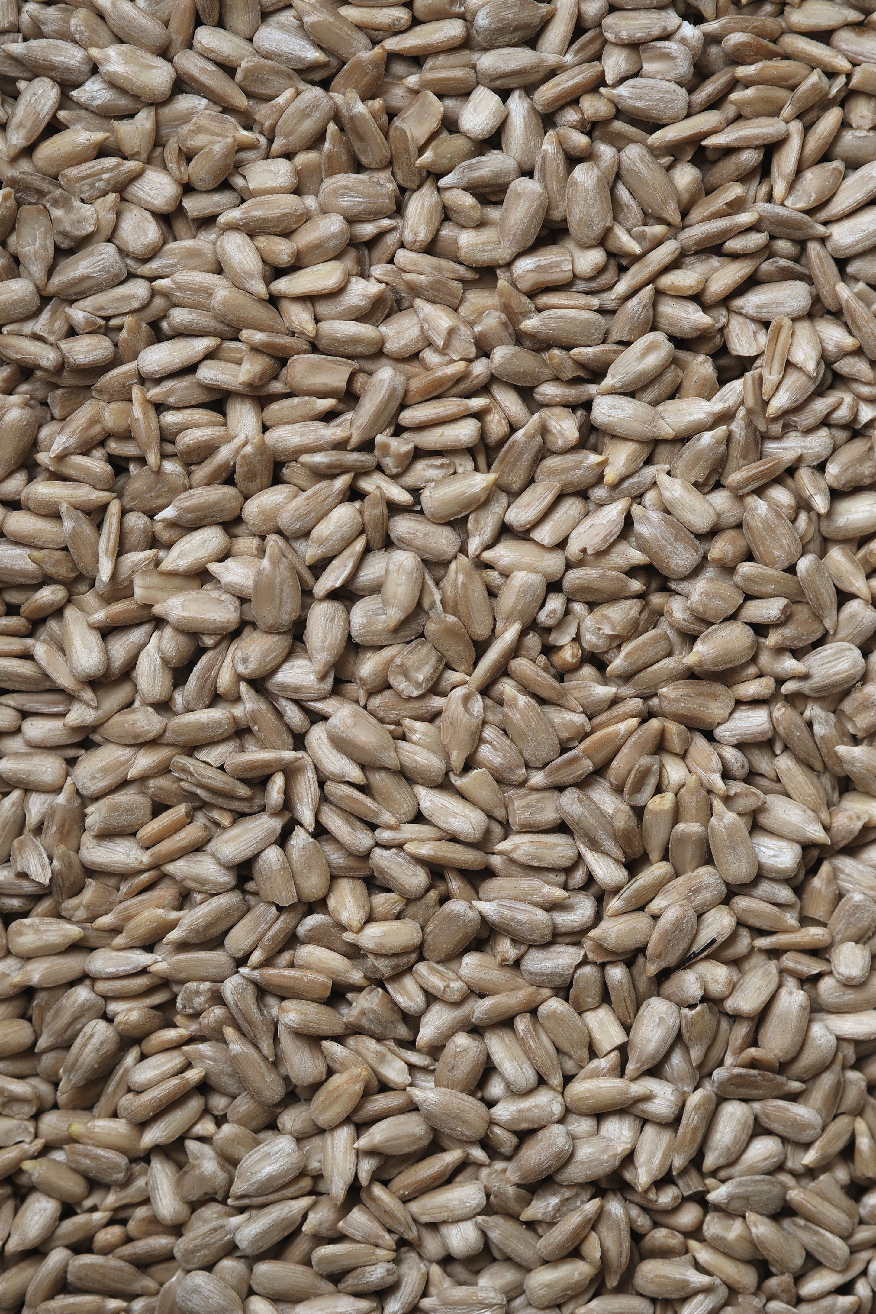 Sunflower Seeds (price per 100g)