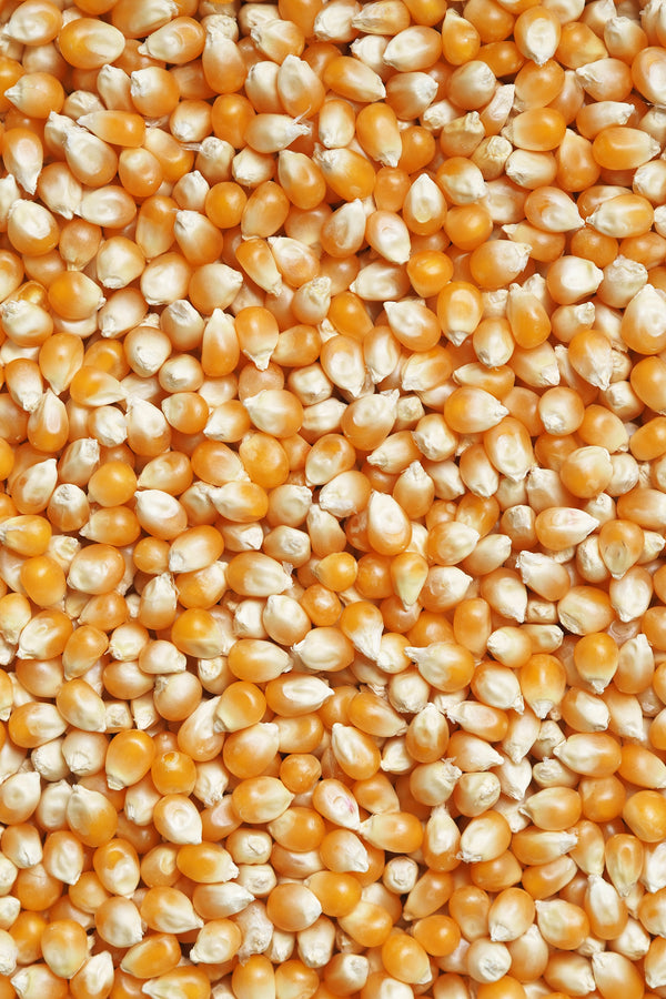 Popcorn (price per 100g)